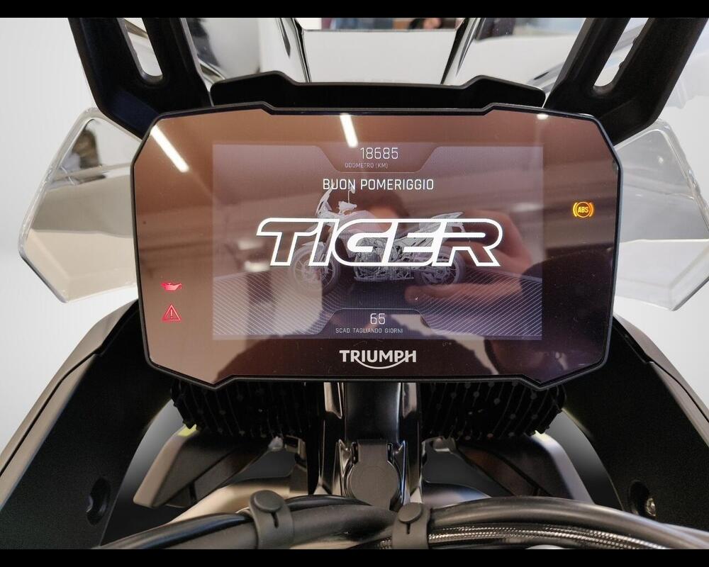 Triumph Tiger 900 Rally Aragón Edition (2023 - 24) (8)