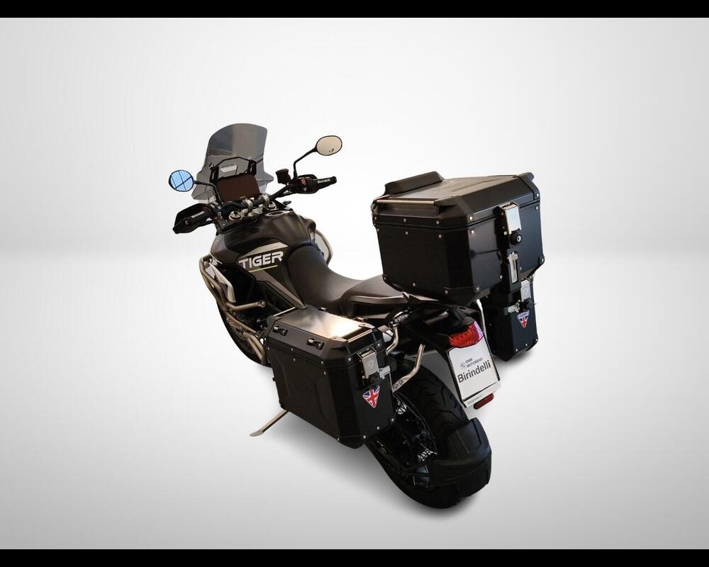 Triumph Tiger 900 Rally Aragón Edition (2023 - 24) (12)