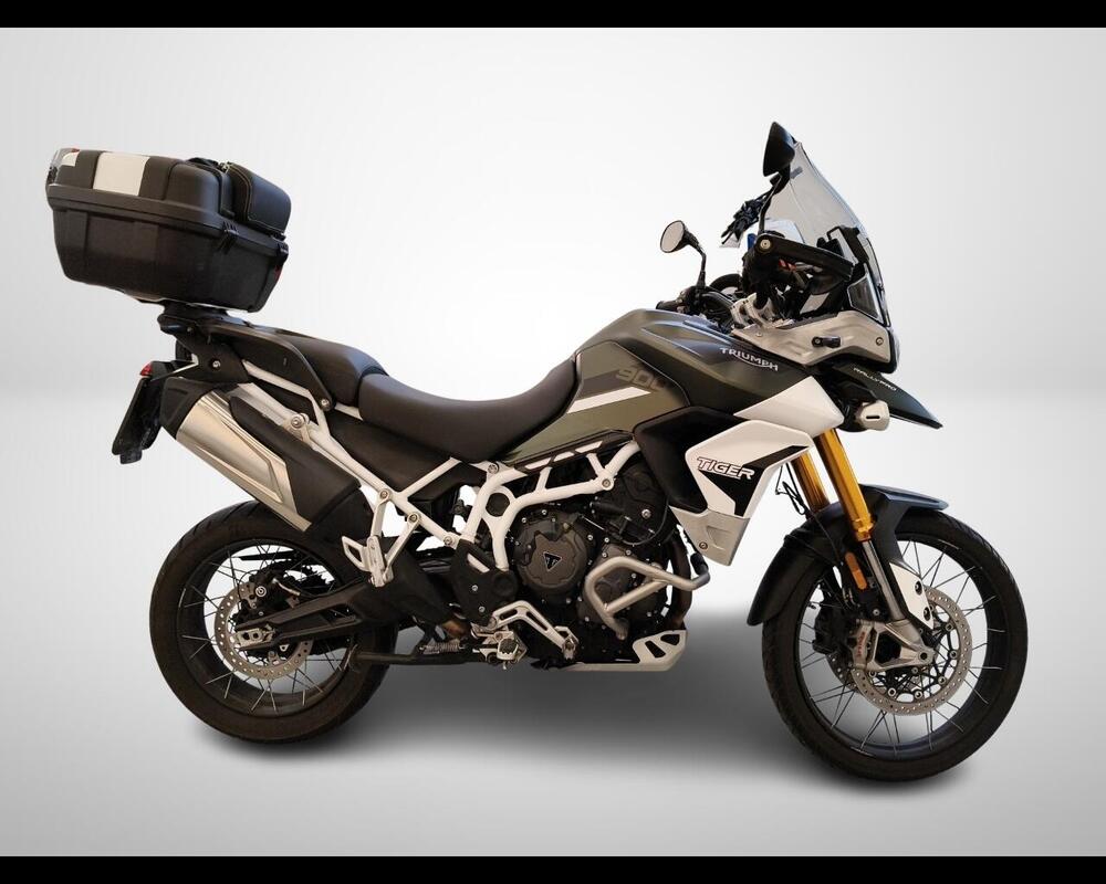 Triumph Tiger 900 Rally Pro (2020 - 23) (4)