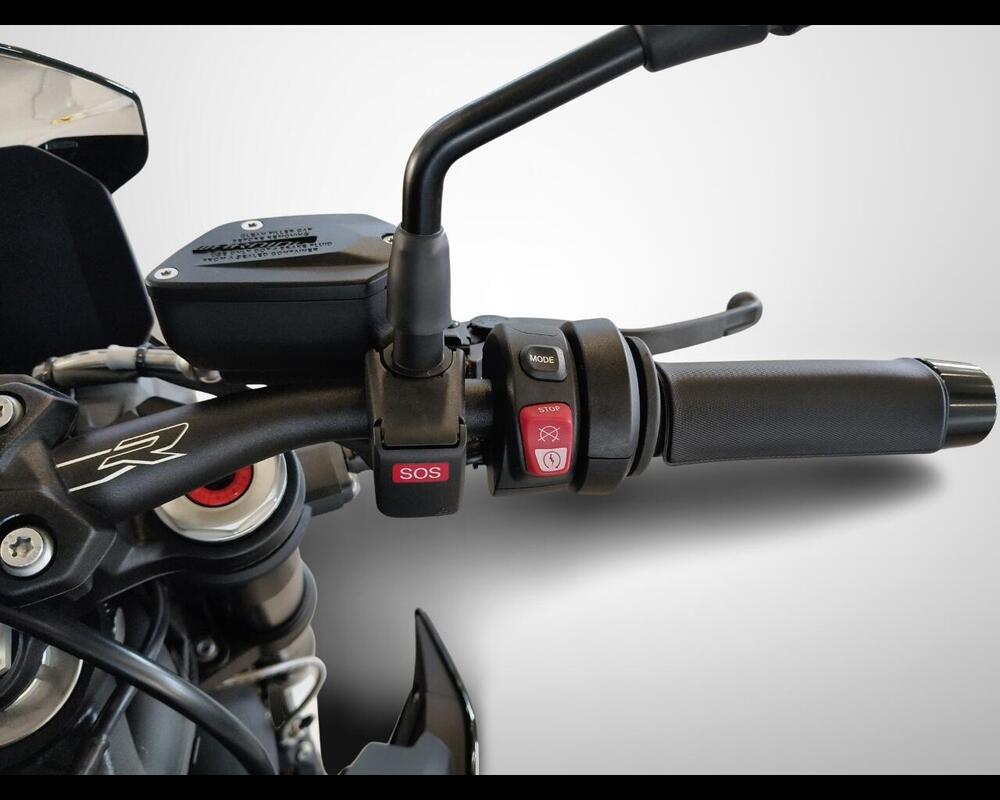 Bmw S 1000 R (2021 - 24) (9)