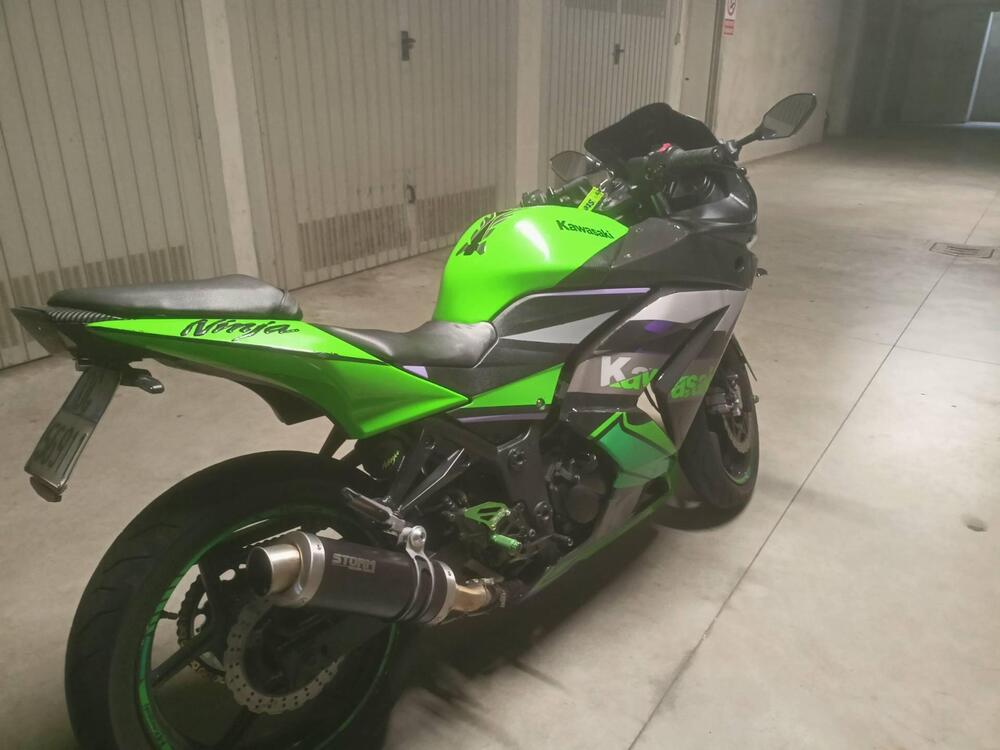 Kawasaki Ninja 250 R (2007 - 13) (6)