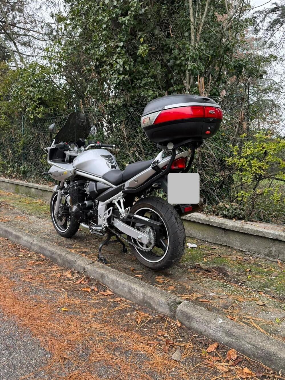 Suzuki GSF 600 Bandit S (2000 - 05) (3)