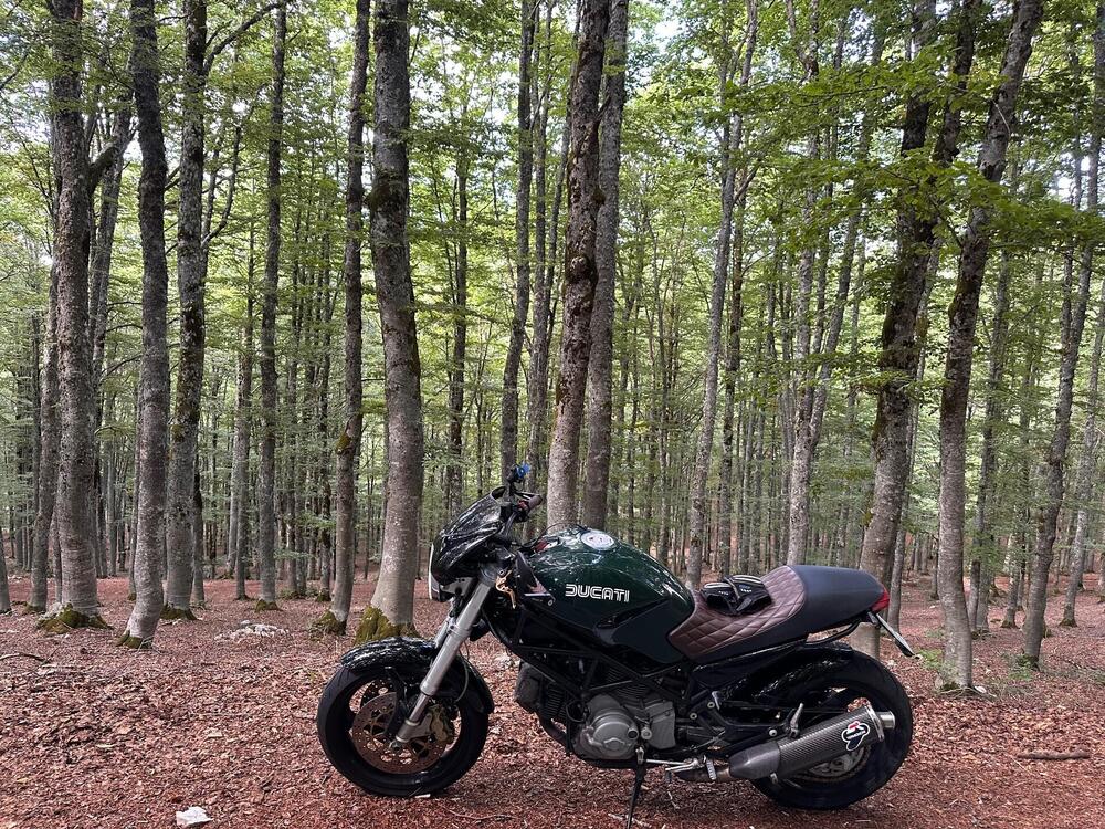 Ducati Monster 620 Dark (2003 - 06) (6)