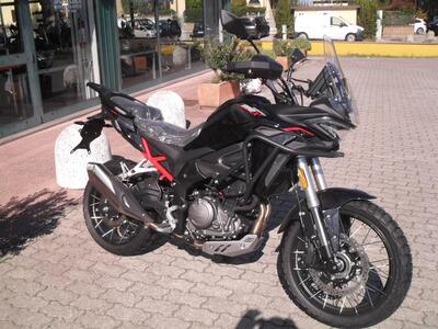 Morbidelli T352X (2026) nuova