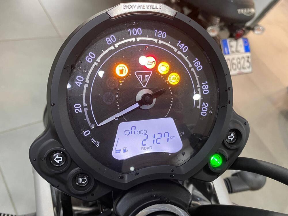 Triumph Scrambler 900 (2023 - 25) (3)