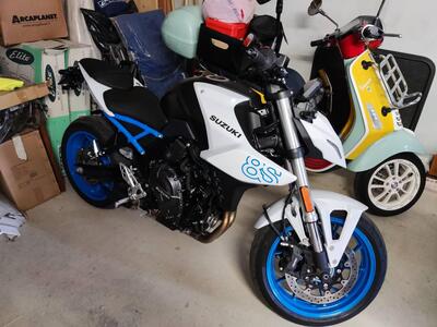 Suzuki GSX-8S (2023 - 24) usata