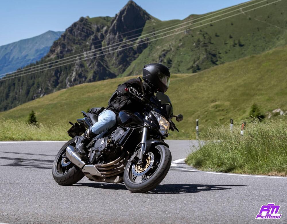 Honda Hornet 600 (2007 - 10)