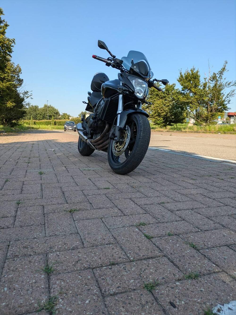 Honda Hornet 600 (2007 - 10) (2)