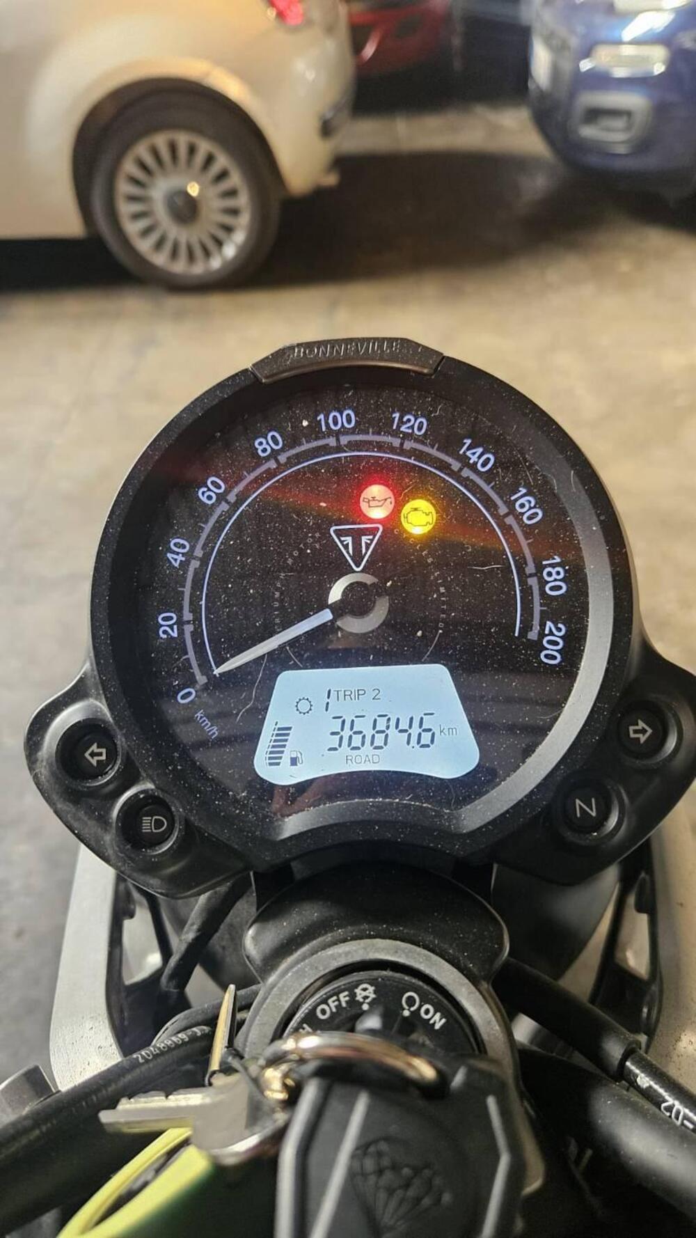 Triumph Speed Twin 900 (2023 - 24) (4)