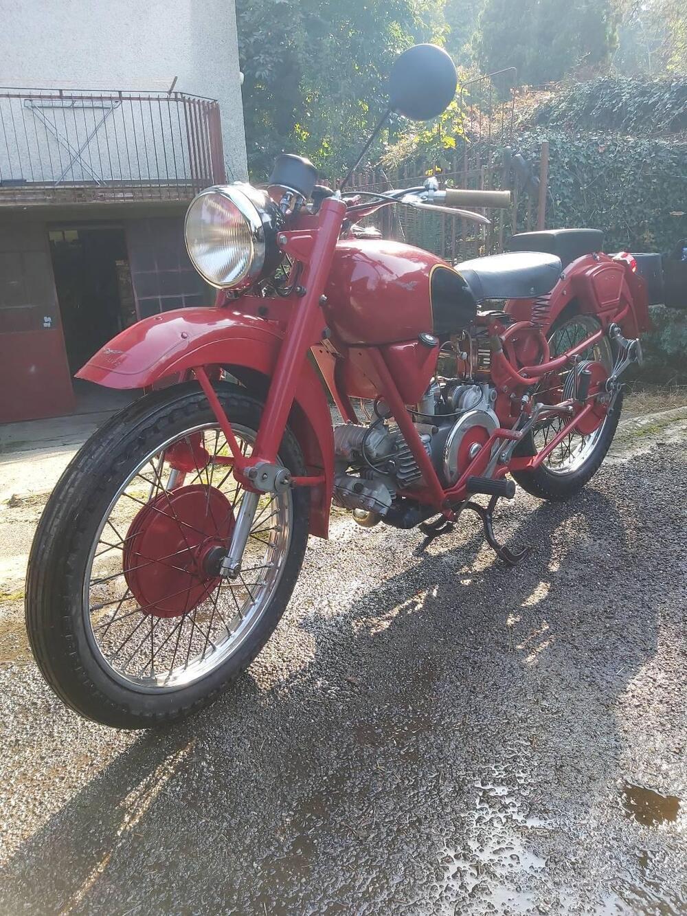 Moto Guzzi Airone 250 sport (3)