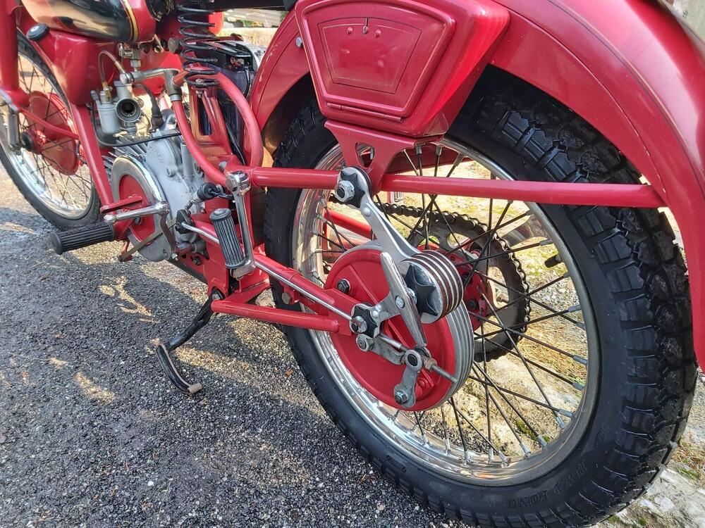 Moto Guzzi Airone 250 sport (5)