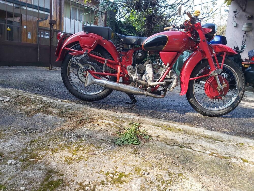 Moto Guzzi Airone 250 sport (9)
