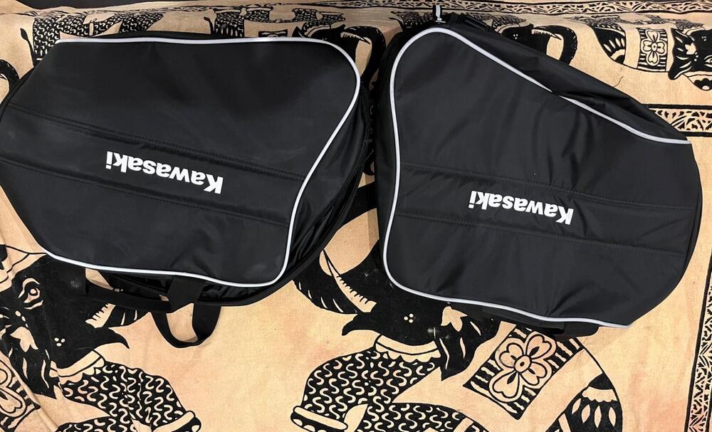 Kawasaki Z 1000 SX (2017 - 20) (17)