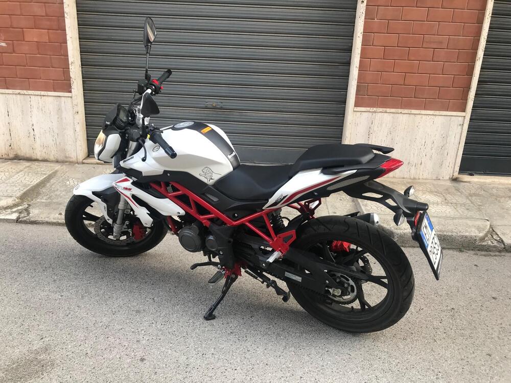 Benelli BN 125 (2018 - 20) (2)