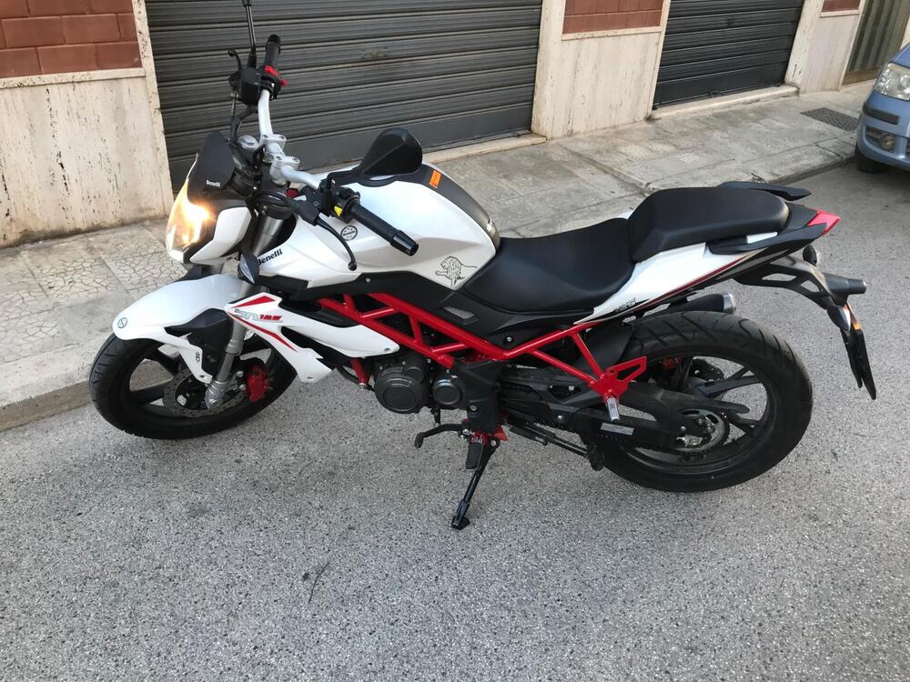 Benelli BN 125 (2018 - 20) (3)