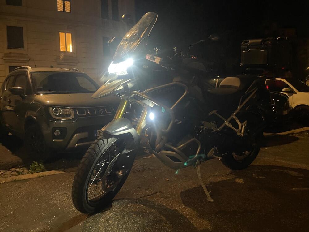 Triumph Tiger 1200 Rally Pro (2024 - 26) (11)