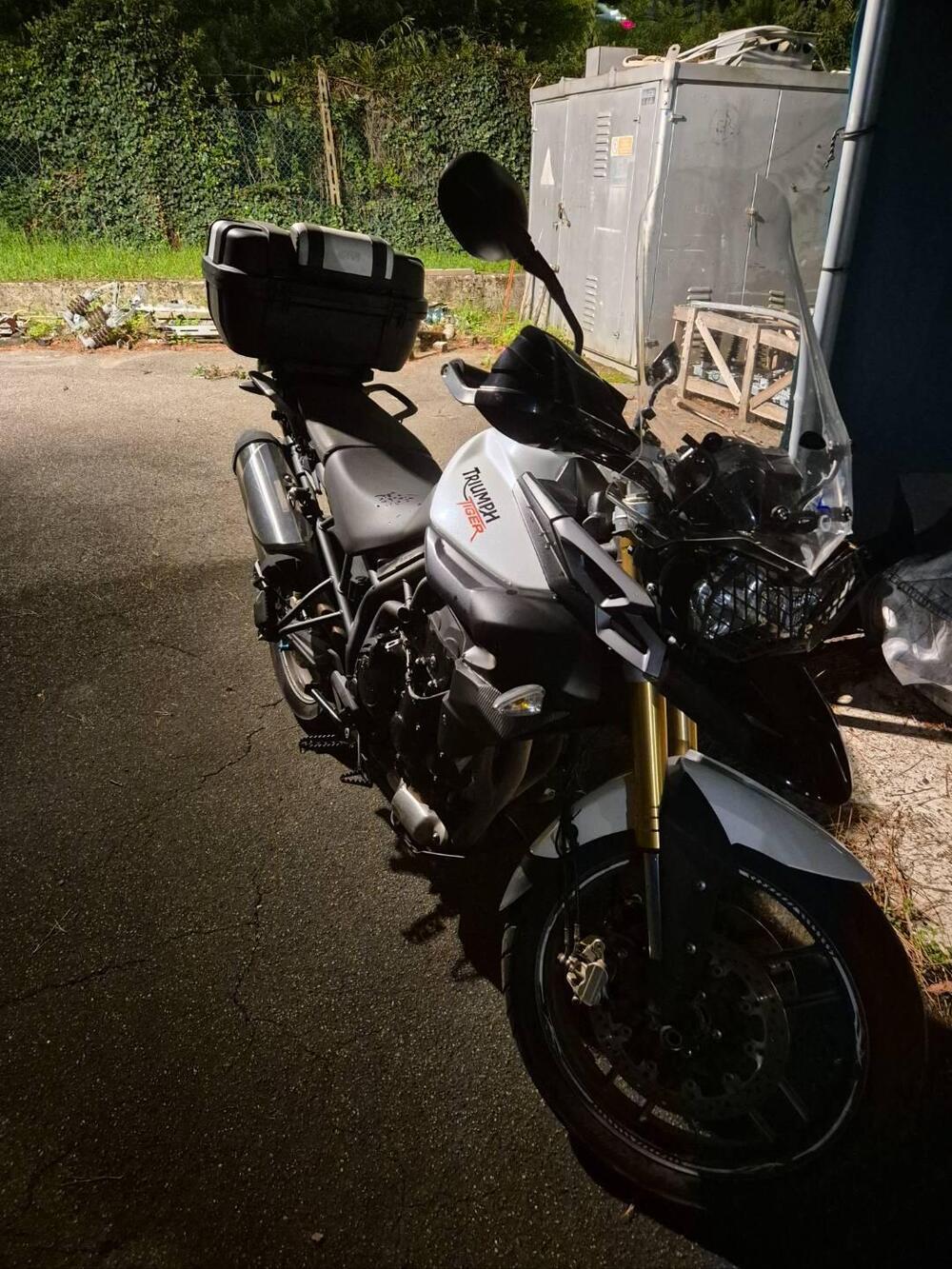 Triumph Tiger 800 (2010 - 14) (10)