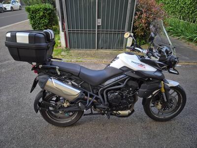 Triumph Tiger 800 (2010 - 14) usata