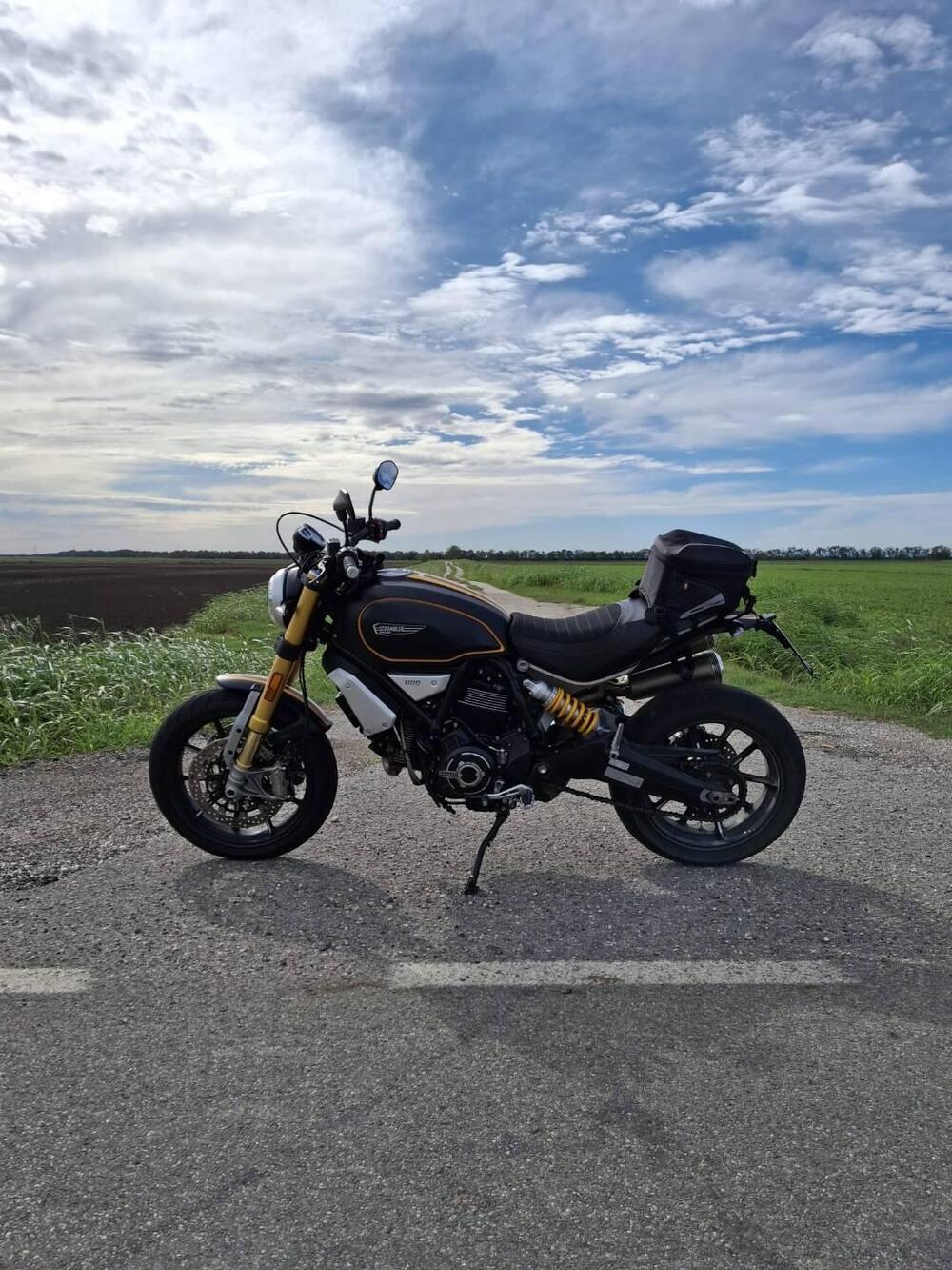 Ducati Scrambler 1100 Sport (2018 - 20) (3)