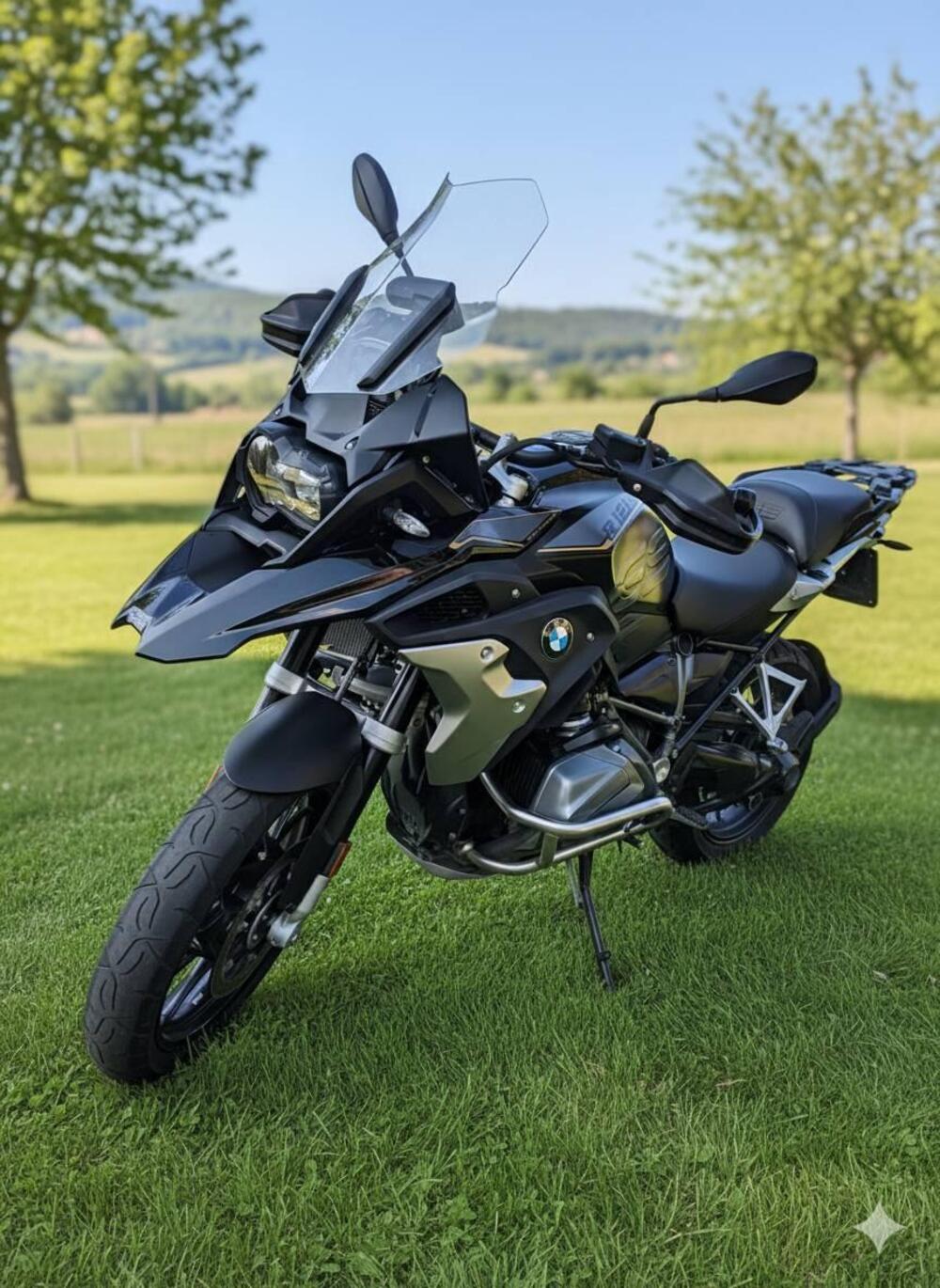 Bmw R 1250 GS (2019 - 20) (2)