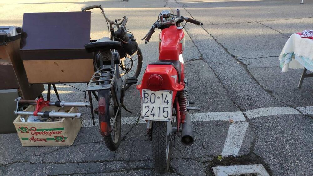 Aermacchi Harley-Davidson ala rossa/ala verde (3)