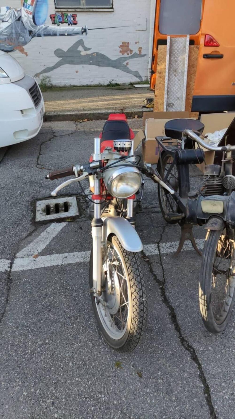 Aermacchi Harley-Davidson ala rossa/ala verde (4)