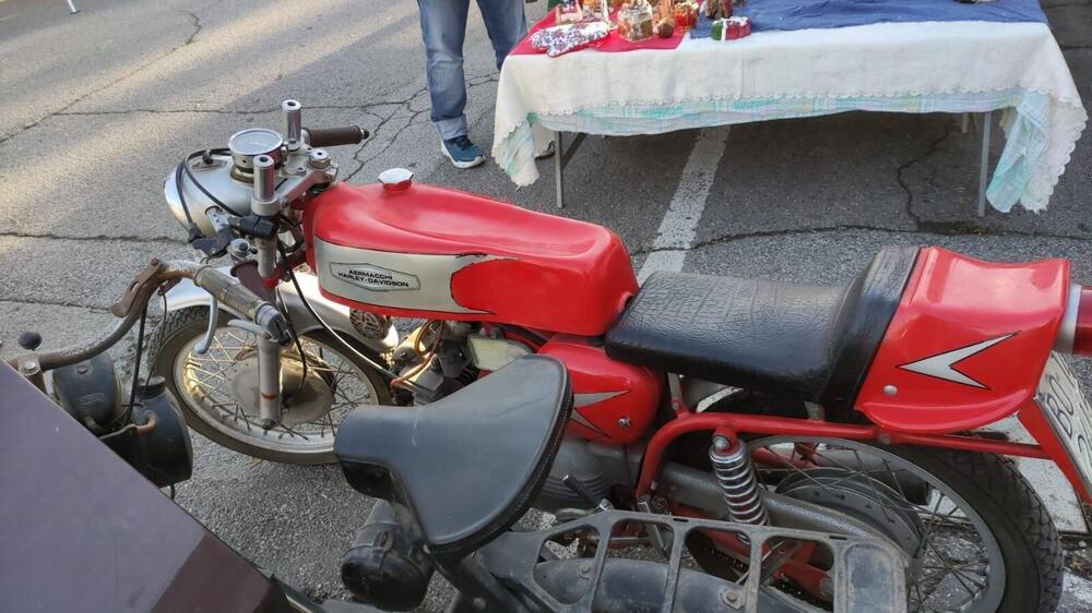 Aermacchi Harley-Davidson ala rossa/ala verde (6)