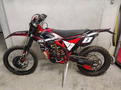 Betamotor RR 250 2T Enduro (2013) usata