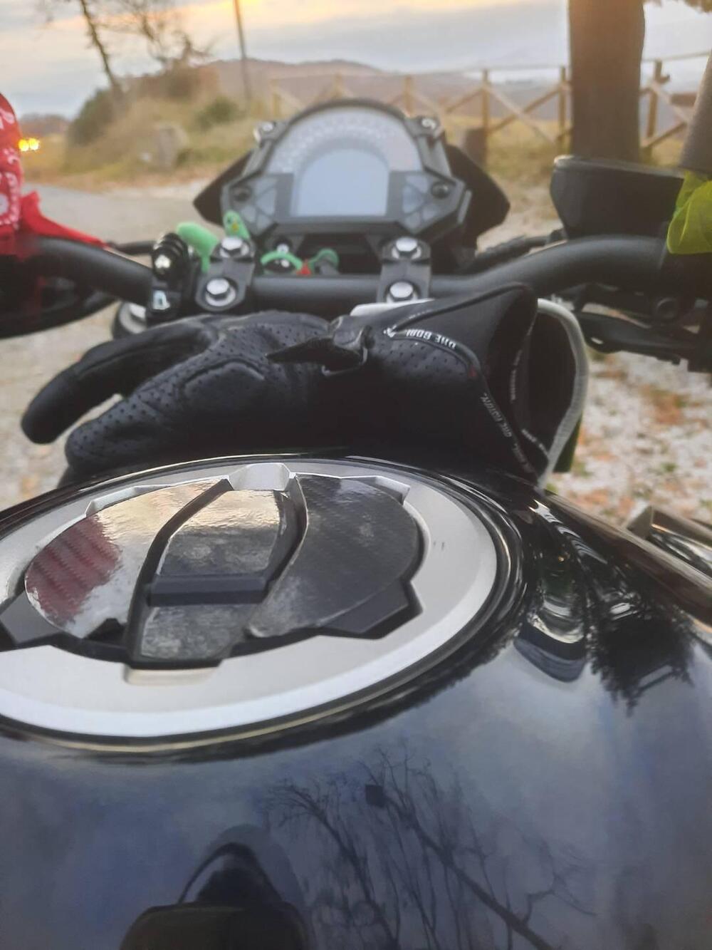 Kawasaki Z 400 (2019 - 20) (3)