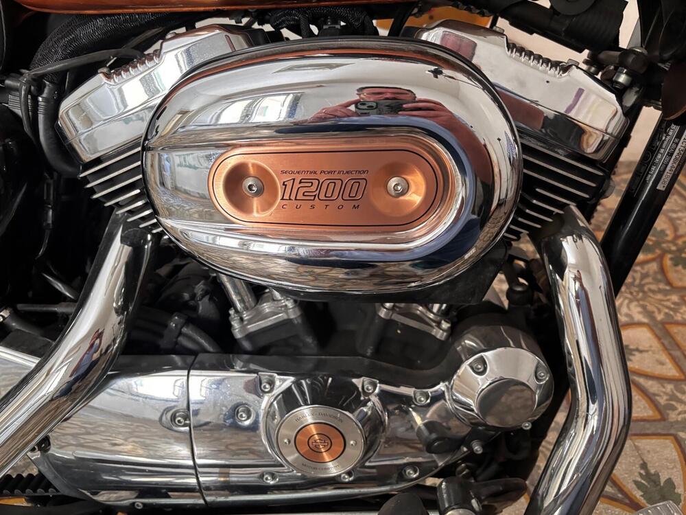 Harley-Davidson 1200 Custom (2007 - 13) - XL 1200C (6)