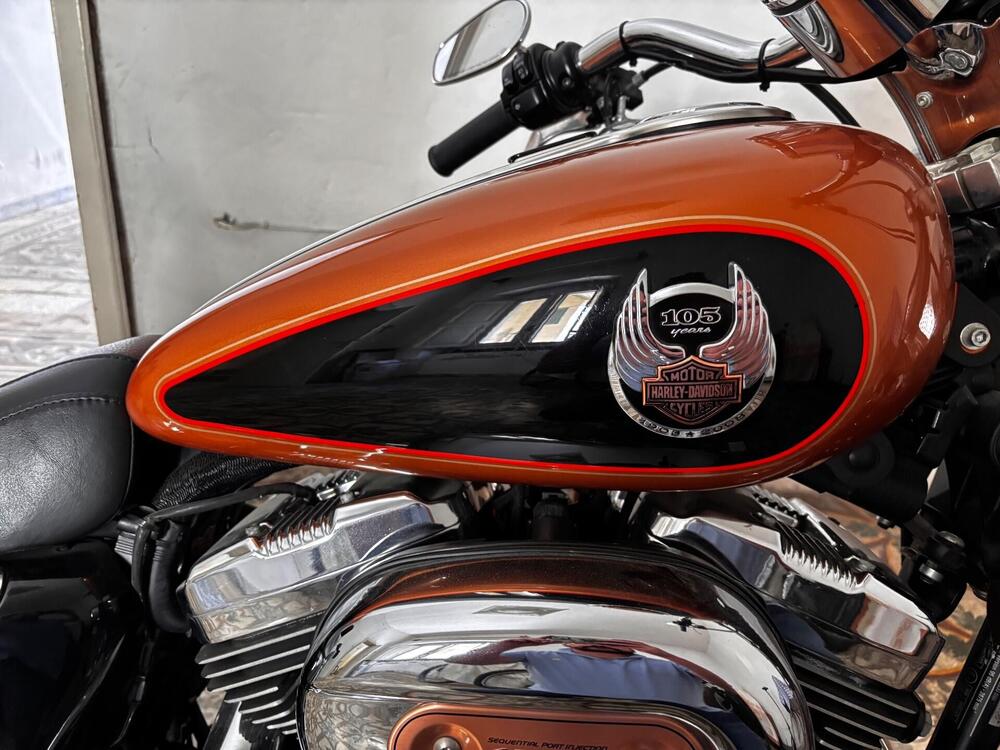 Harley-Davidson 1200 Custom (2007 - 13) - XL 1200C (7)