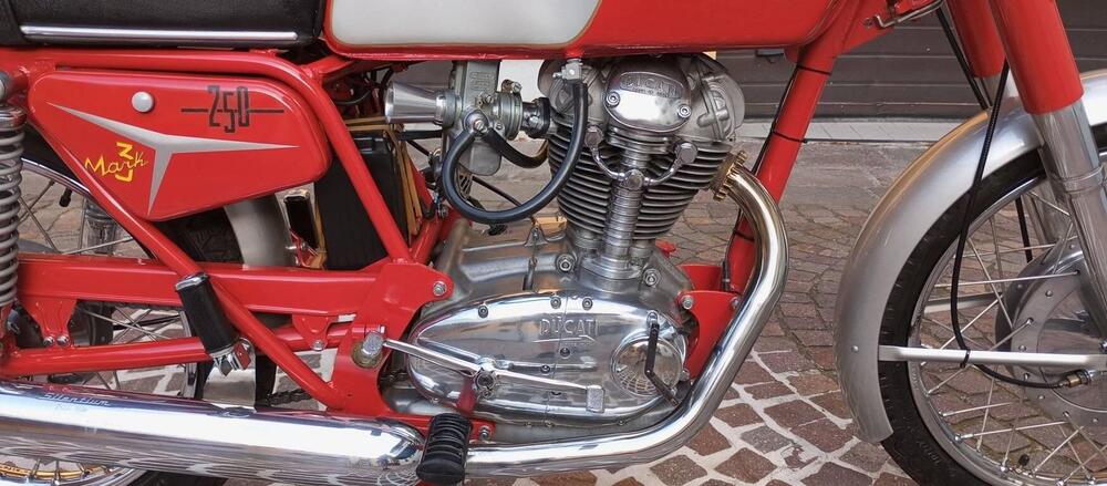 Ducati 250 MARK3 (8)