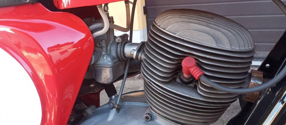 Gilera BESSONE 175cc (5)