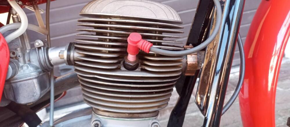 Gilera BESSONE 175cc (10)