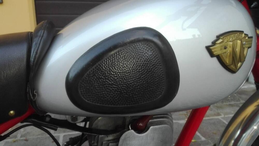 Maico 250 CROSS (12)