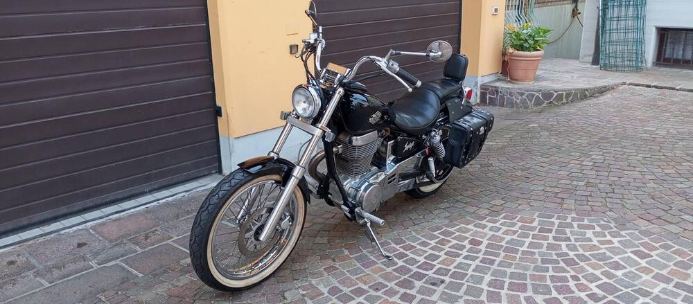 Suzuki SAVAGE 650 (19)