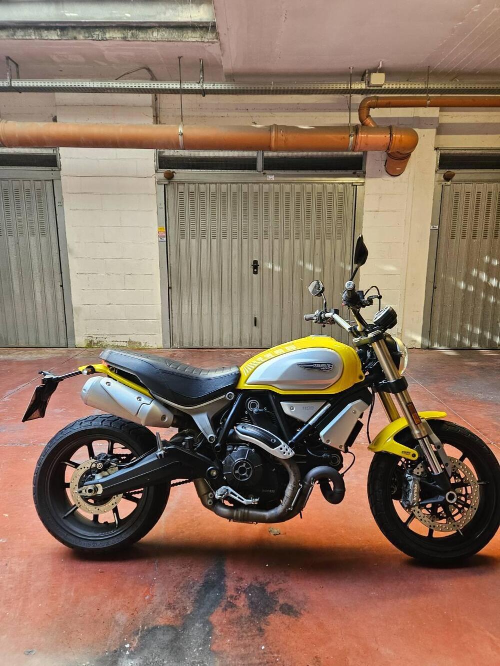 Ducati Scrambler 1100 (2018 - 20) (2)