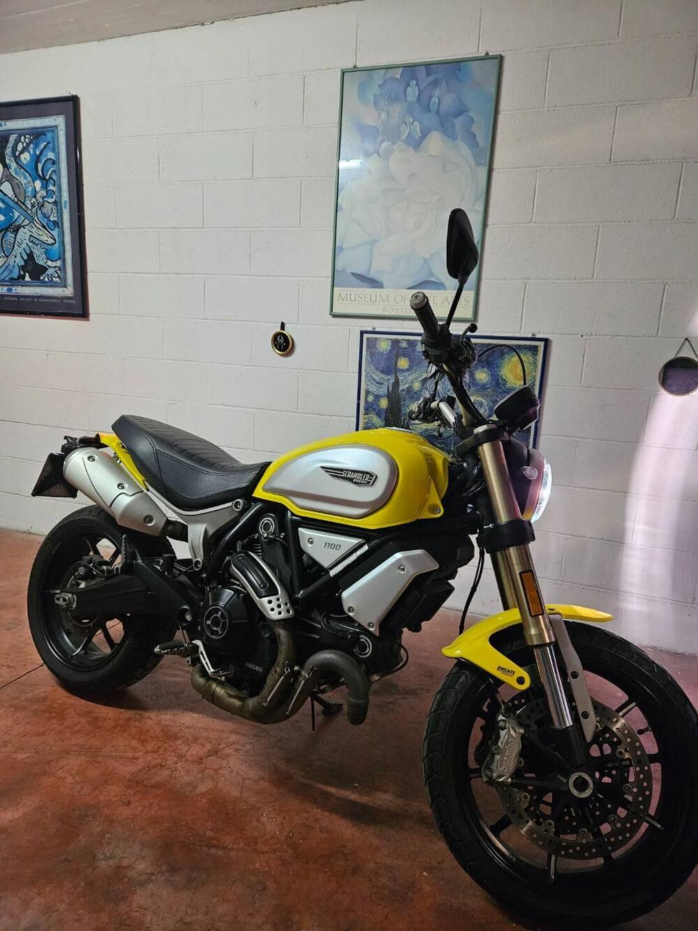 Ducati Scrambler 1100 (2018 - 20) (3)