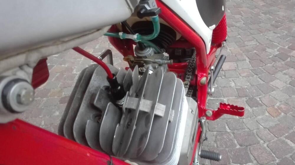 Tgm 50 ex ufficiale Dal Ferro (17)