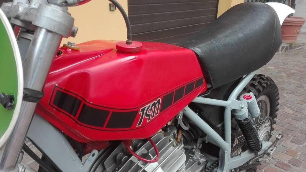 Tgm 250 CROSS  MOTORE VILLA (15)