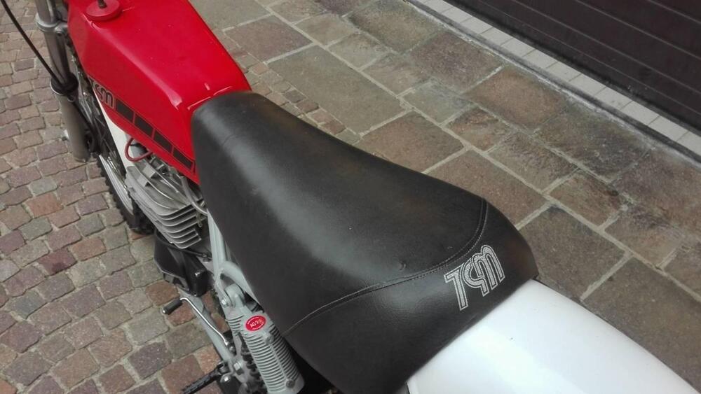 Tgm 250 CROSS  MOTORE VILLA (16)