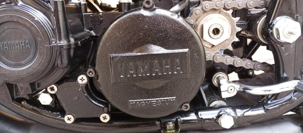 Yamaha TZ 750 A  (13)