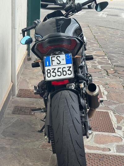 Kawasaki Z 900 A2 (2025 - 26) usata