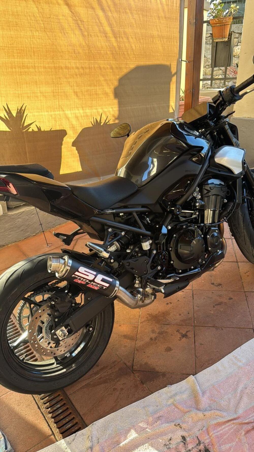 Kawasaki Z 900 A2 (2025 - 26) (2)