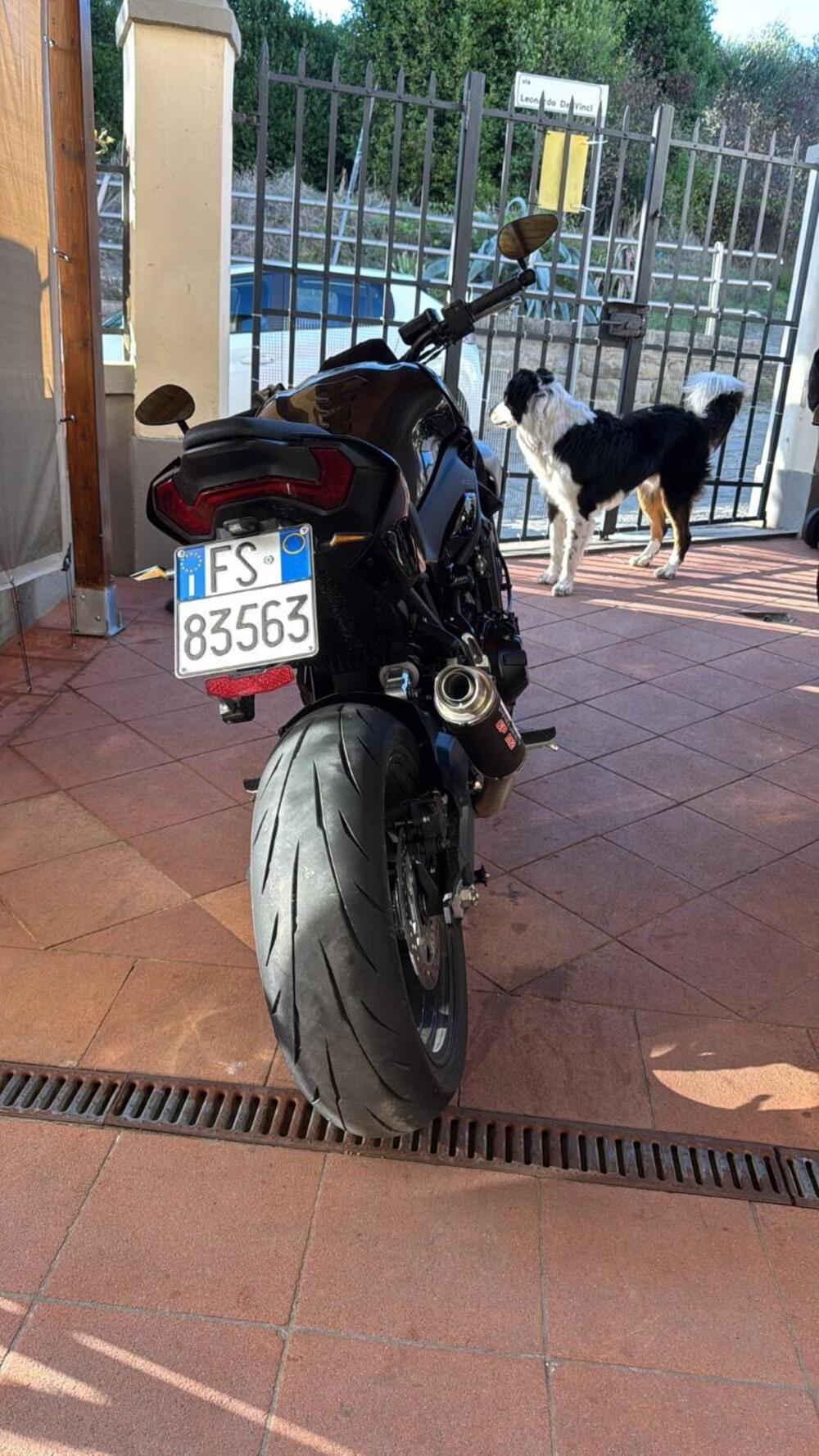 Kawasaki Z 900 A2 (2025 - 26) (3)