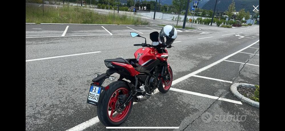 Kawasaki Z 650 50th Anniversary (2022 - 23) (5)