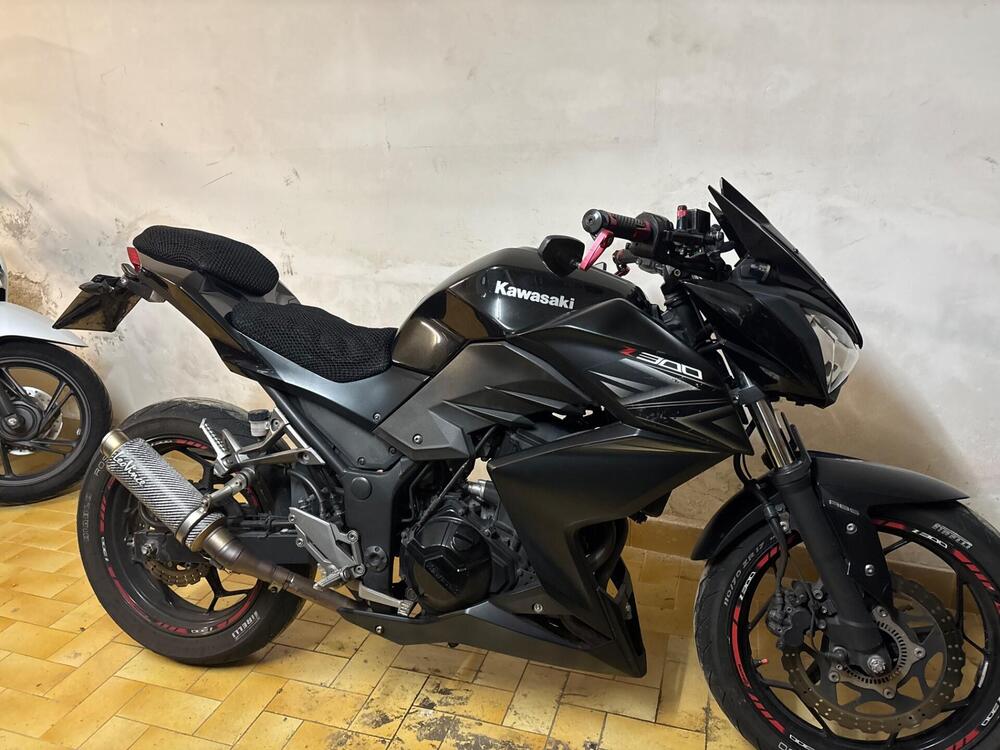 Kawasaki Z 300 ABS (2015 - 16)