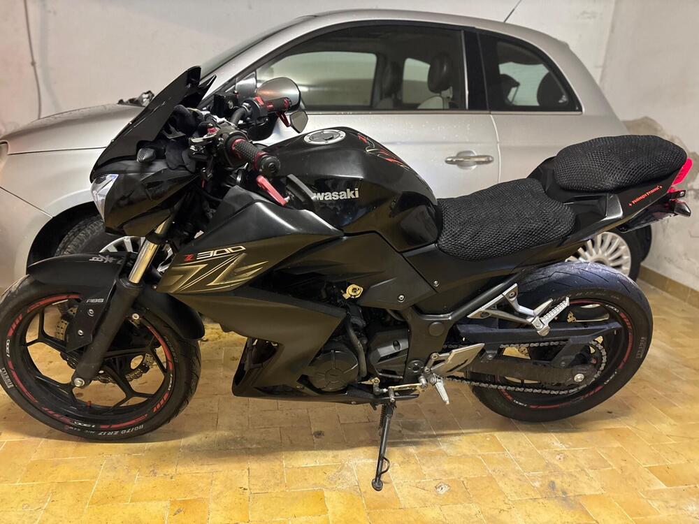 Kawasaki Z 300 ABS (2015 - 16) (2)