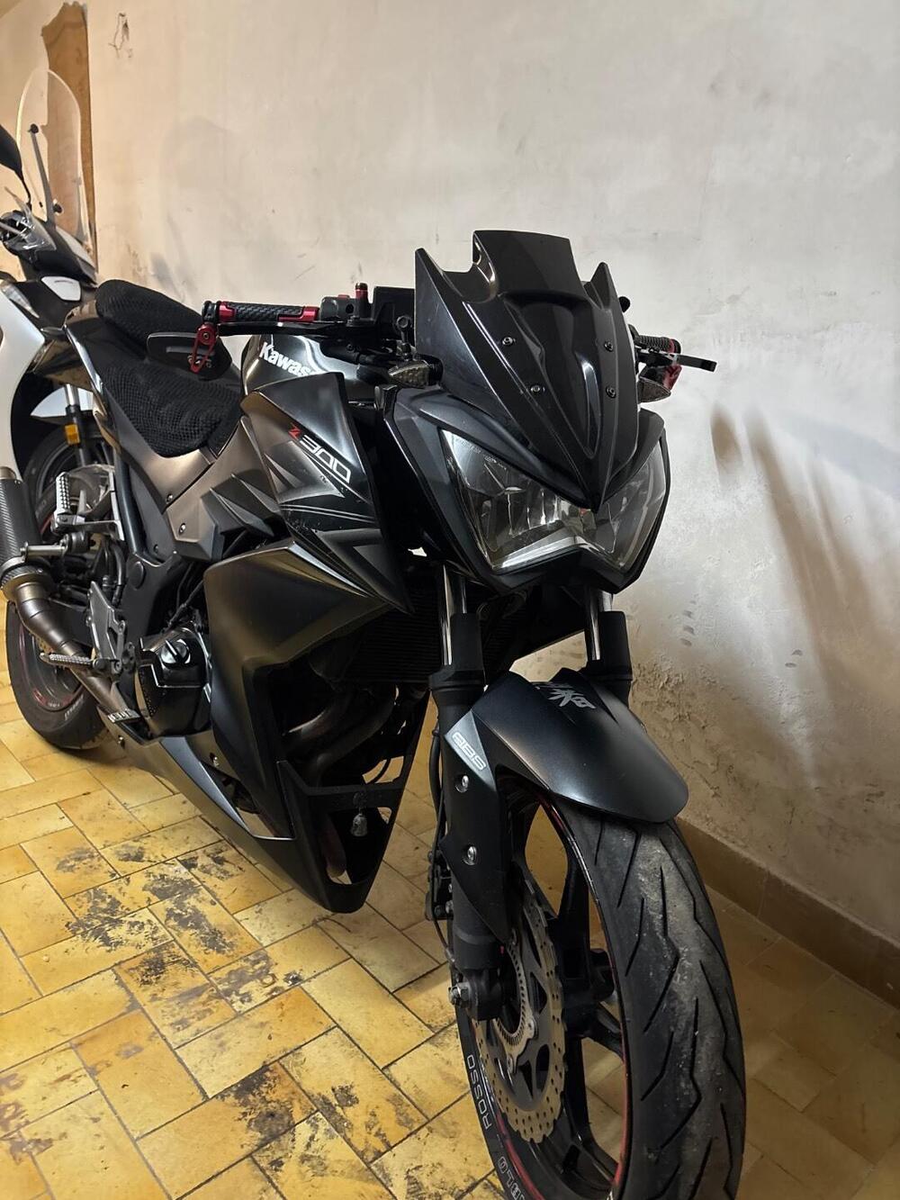 Kawasaki Z 300 ABS (2015 - 16) (4)