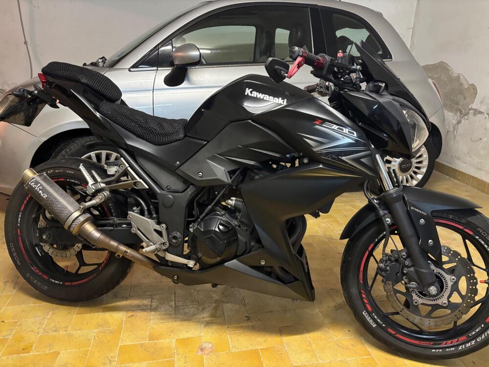 Kawasaki Z 300 ABS (2015 - 16) (7)